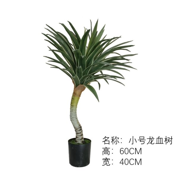 Small Dracaena (Includes Black Base)