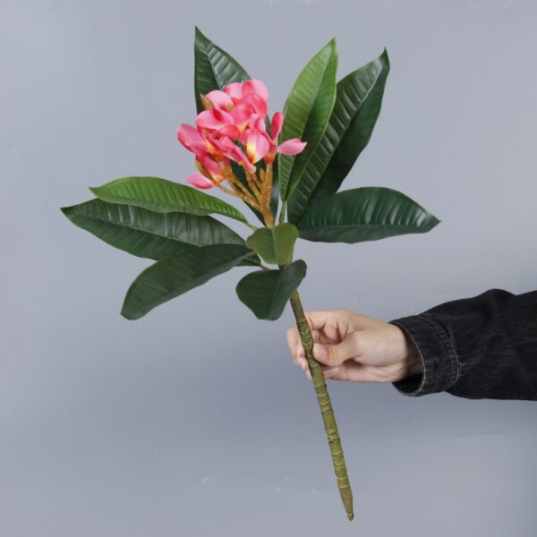 Artificial Frangipani, Magenta