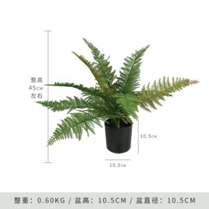 Saint Fern Leaf (Includes Black Base)
