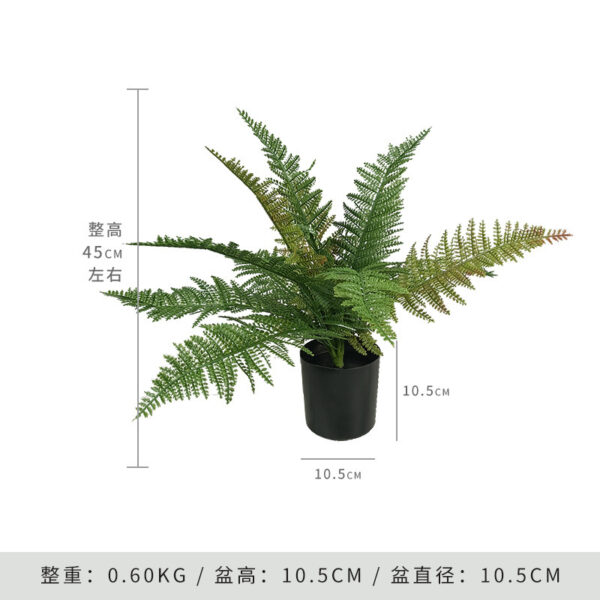 Saint Fern Leaf (Includes Black Base)