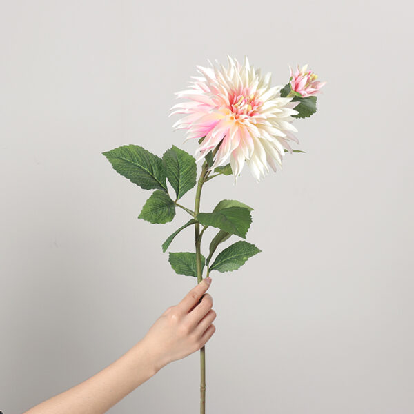 2-Head Dahlia