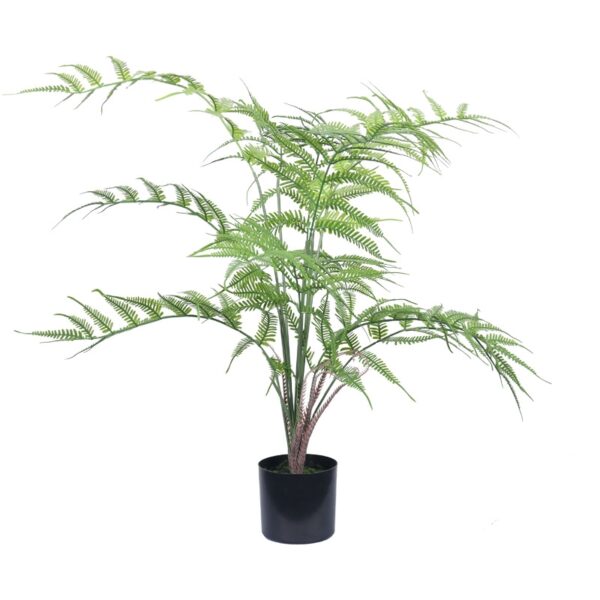 Fern Leaf Potted Plant
(Small)