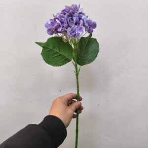 Small Western Hydrangea (Purple)