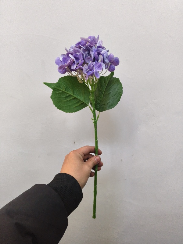 Small Western Hydrangea (Purple)