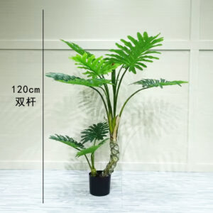 Speckled Philodendron, 2 Stems
