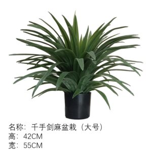 Thousand-Hands Sisal Potted Plant (Large)