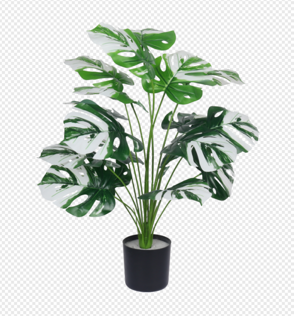 White-and-Green Monstera Potted Plant
(Large)