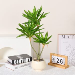 Lily Bamboo Potted Plant, 3 Stems, 70cm