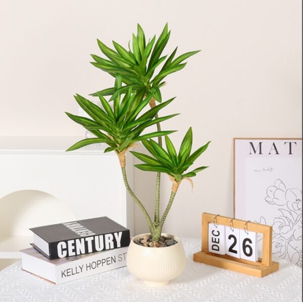 Lily Bamboo Potted Plant, 3 Stems, 70cm