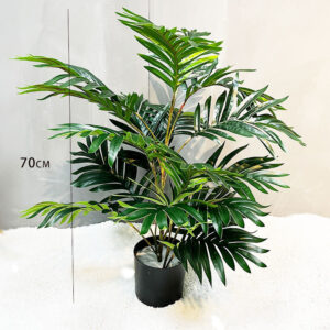 Small Areca Palm (Includes Black Base)