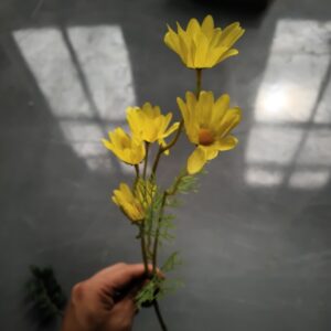 Artificial Chamomile Bundle (Yellow)