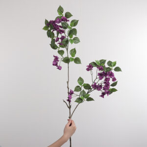 Two-Branch Bougainvillea (Purple)
