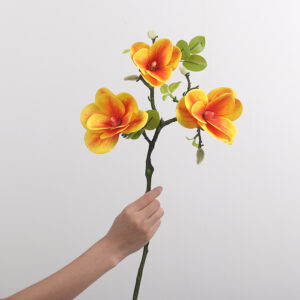3-Head Round-Bowl Large Magnolia (Pink Orange)