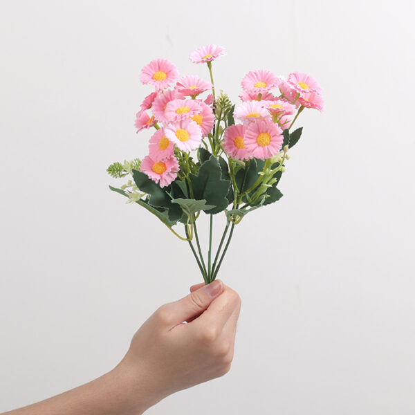 Small Zhi Chrysanthemum (Pink)