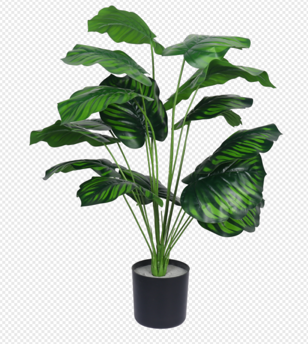 Dark Tiger Grass Potted Plant