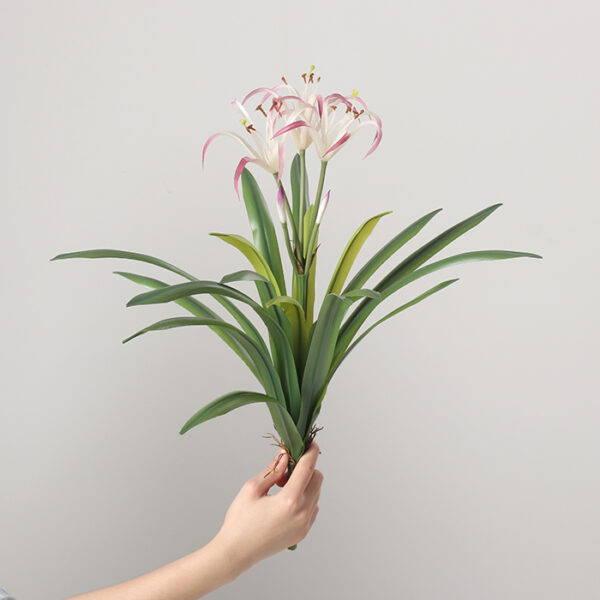 18-Leaf, 3-Head Spider Lily (Purple)