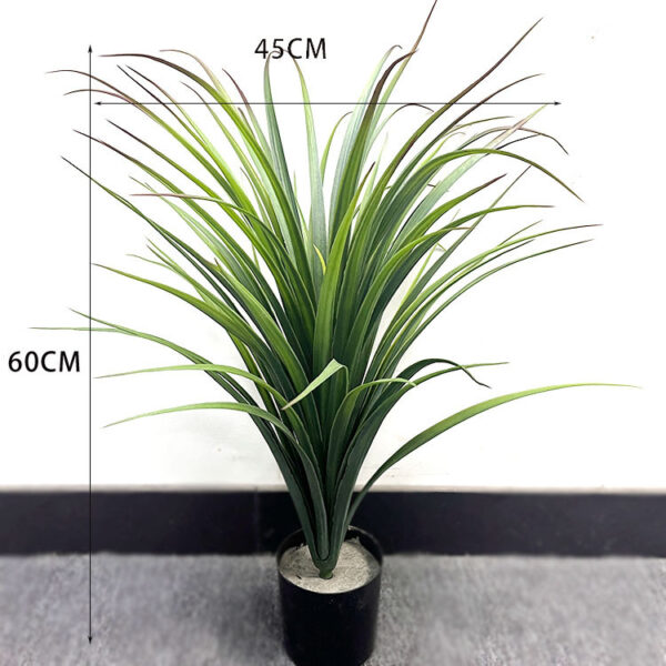 Green Seedling Grass