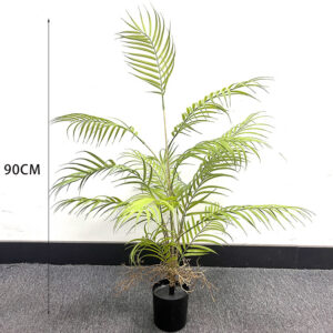 Mini Palm