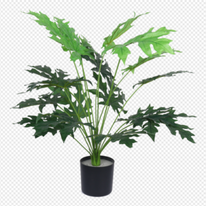 Papaya Leaf Potted Plant