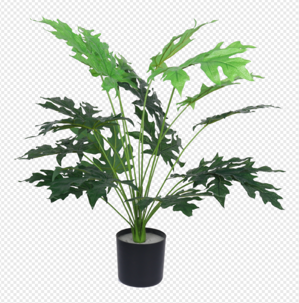 Papaya Leaf Potted Plant
