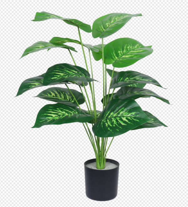 Tiger Grass Potted Plant
(Large)
