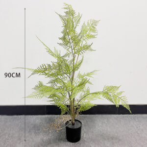 Mini Fern