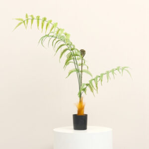 Monkey-Head Fern, Style A