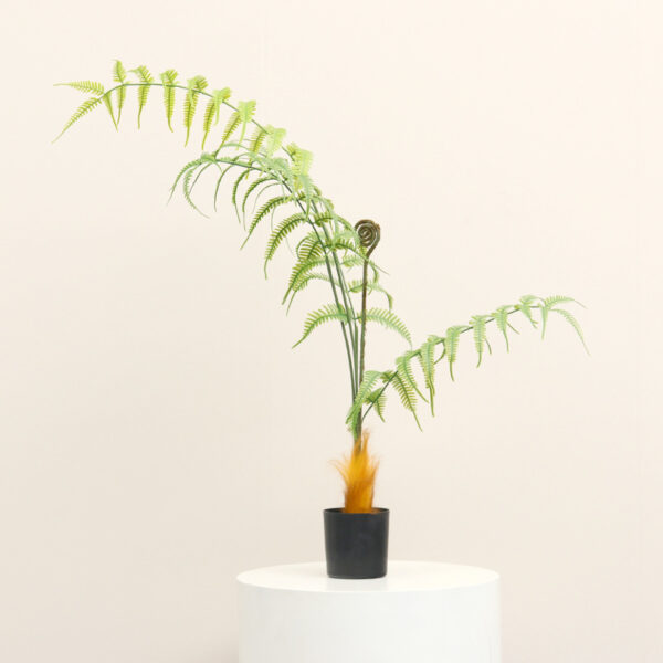 Monkey-Head Fern, Style A