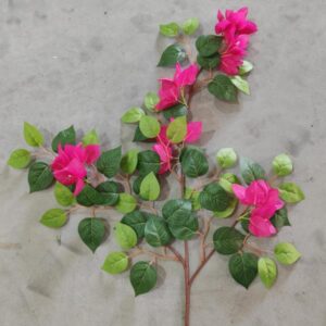 3-Branch Bougainvillea (Magenta)
