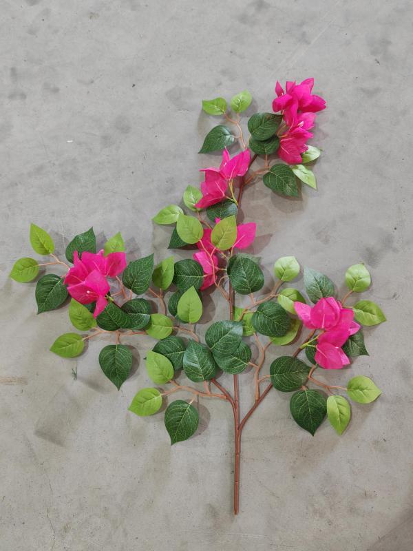 3-Branch Bougainvillea (Magenta)