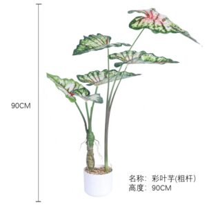 Caladium Leaf (Thick Stem)