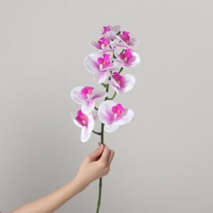 Real-Touch Coated Phalaenopsis Orchid (White and Purple)