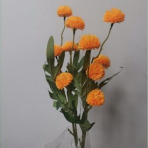 Dahlia Hydrangea (Orange)