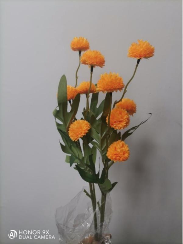 Dahlia Hydrangea (Orange)
