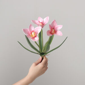 6-Leaf Cymbidium Orchid (Pink)