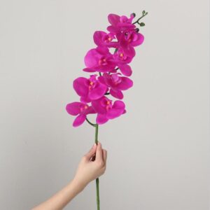 Real-Touch Coated Phalaenopsis Orchid (Purple)