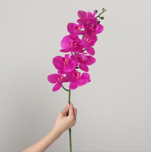 Real-Touch Coated Phalaenopsis Orchid (Purple)