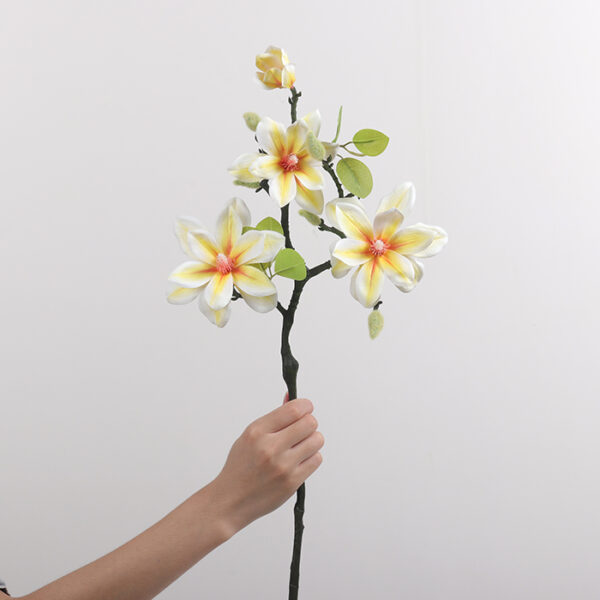 West Lake Magnolia (Light Cream Yellow)
