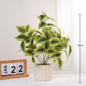 45CM Large-Branch Perilla Potted Plant