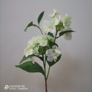 2-Head Hydrangea (Green and White)