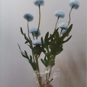 Dahlia Hydrangea (Blue)