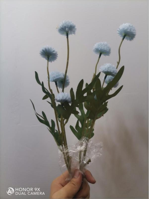 Dahlia Hydrangea (Blue)