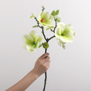 3-Head Round-Bowl Large Magnolia (Emerald Green)