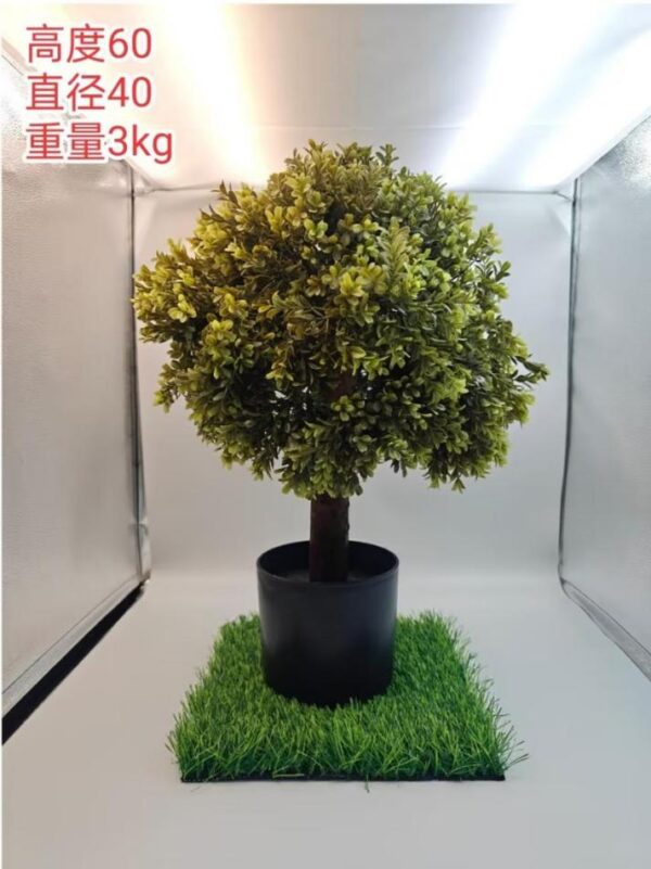 Small Eucalyptus Potted Plant
