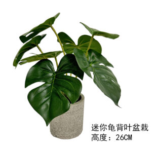 Mini Monstera Leaf Potted Plant