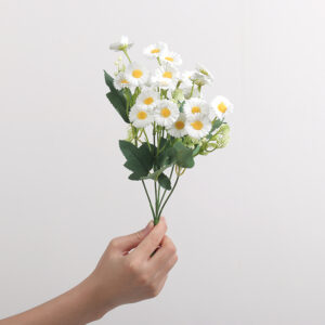 Small Zhi Chrysanthemum (White)