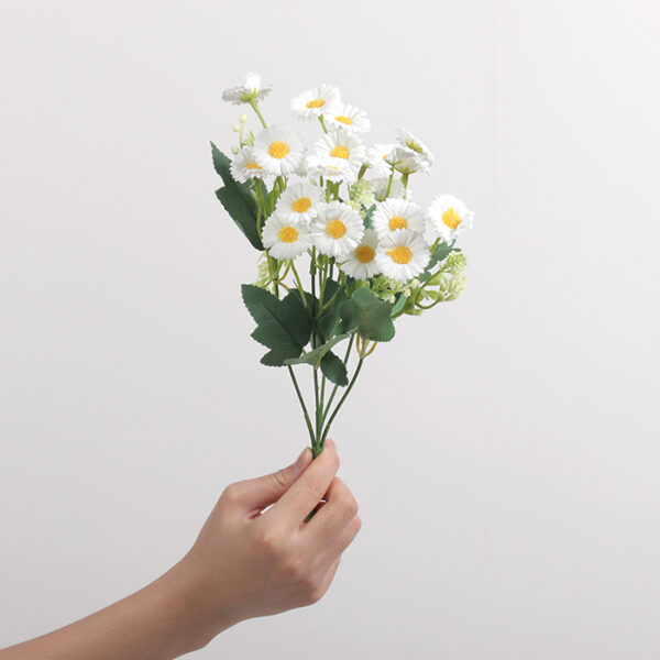 Small Zhi Chrysanthemum (White)