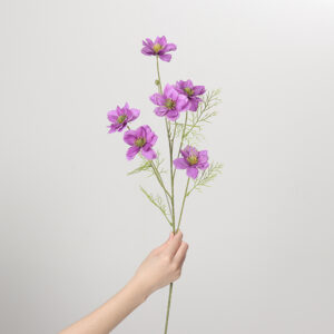 Love-in-a-Mist (Purple)