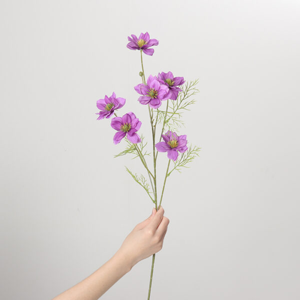 Love-in-a-Mist (Purple)