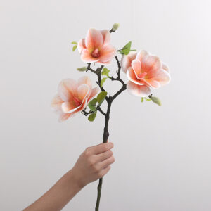 3-Head Round-Bowl Large Magnolia (Champagne)